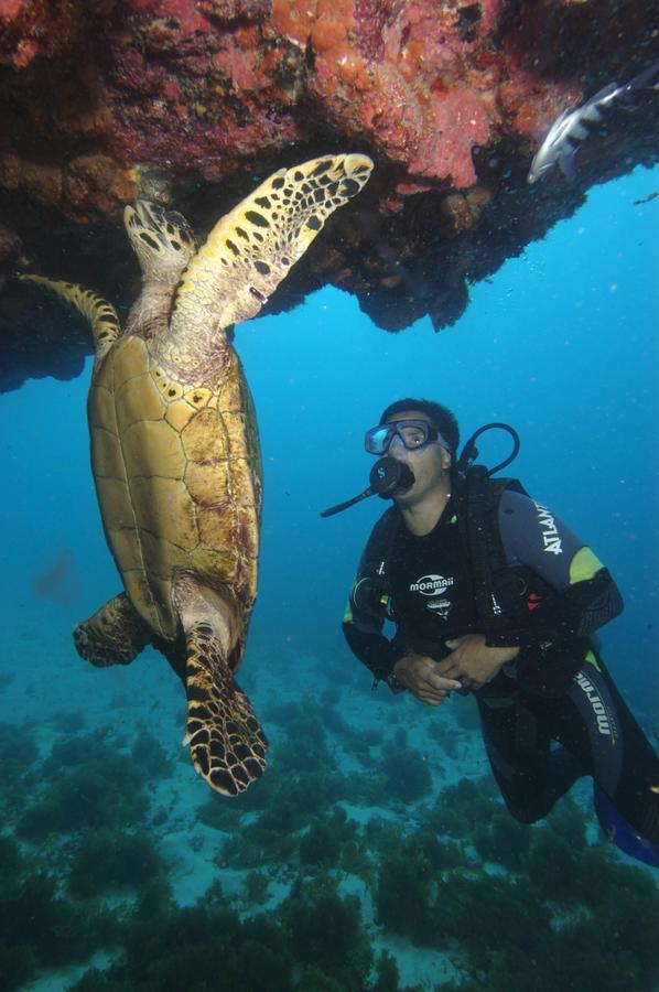 Pousada Boldro Home フェルナンド・デ・ノローニャ エクステリア 写真